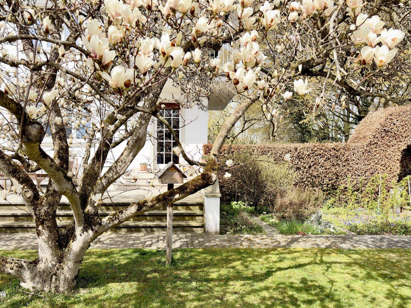 image-72473309