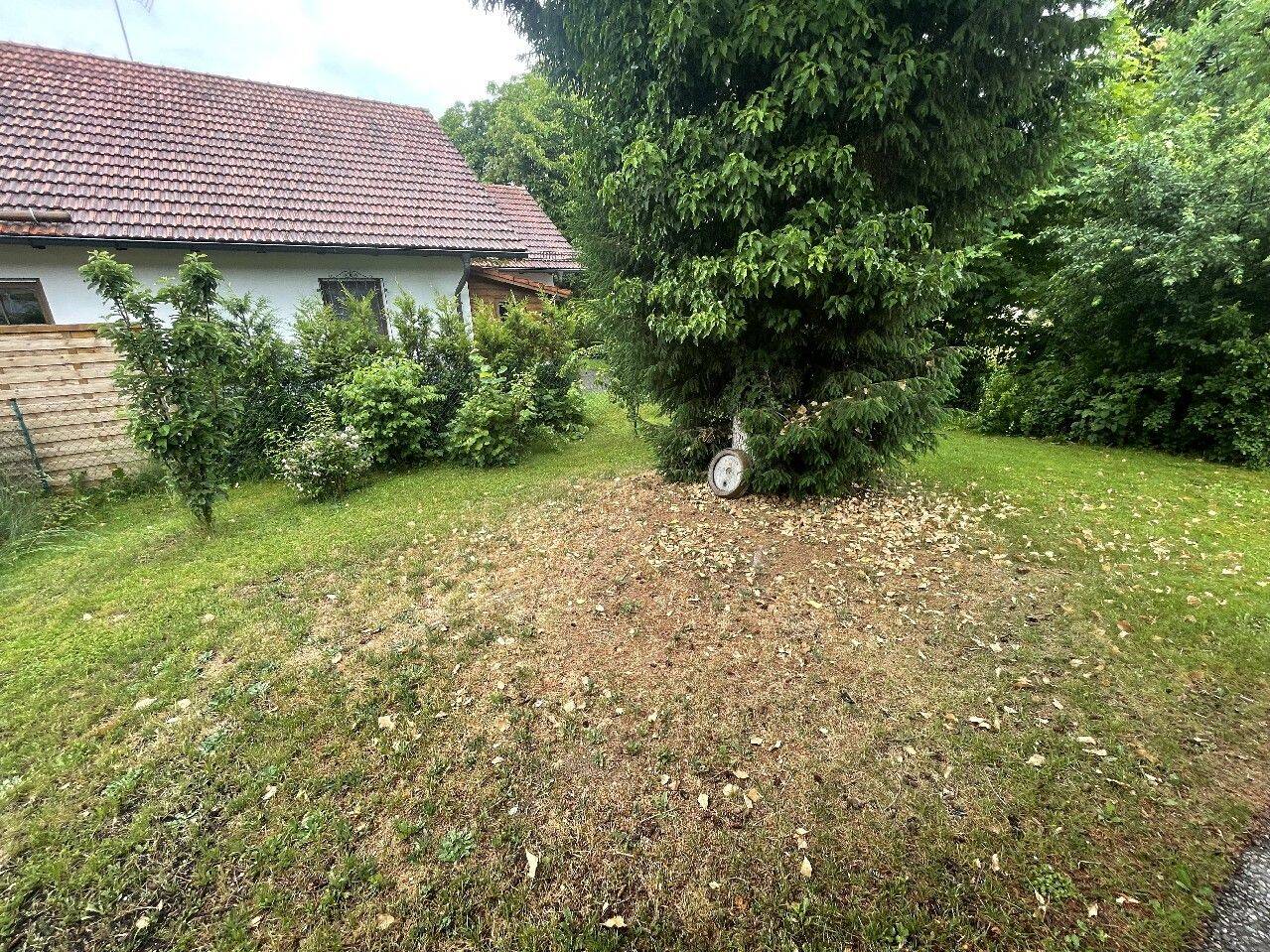 NEU! Liebenswerte Gartenwohnung für Single!, 86875 Waal