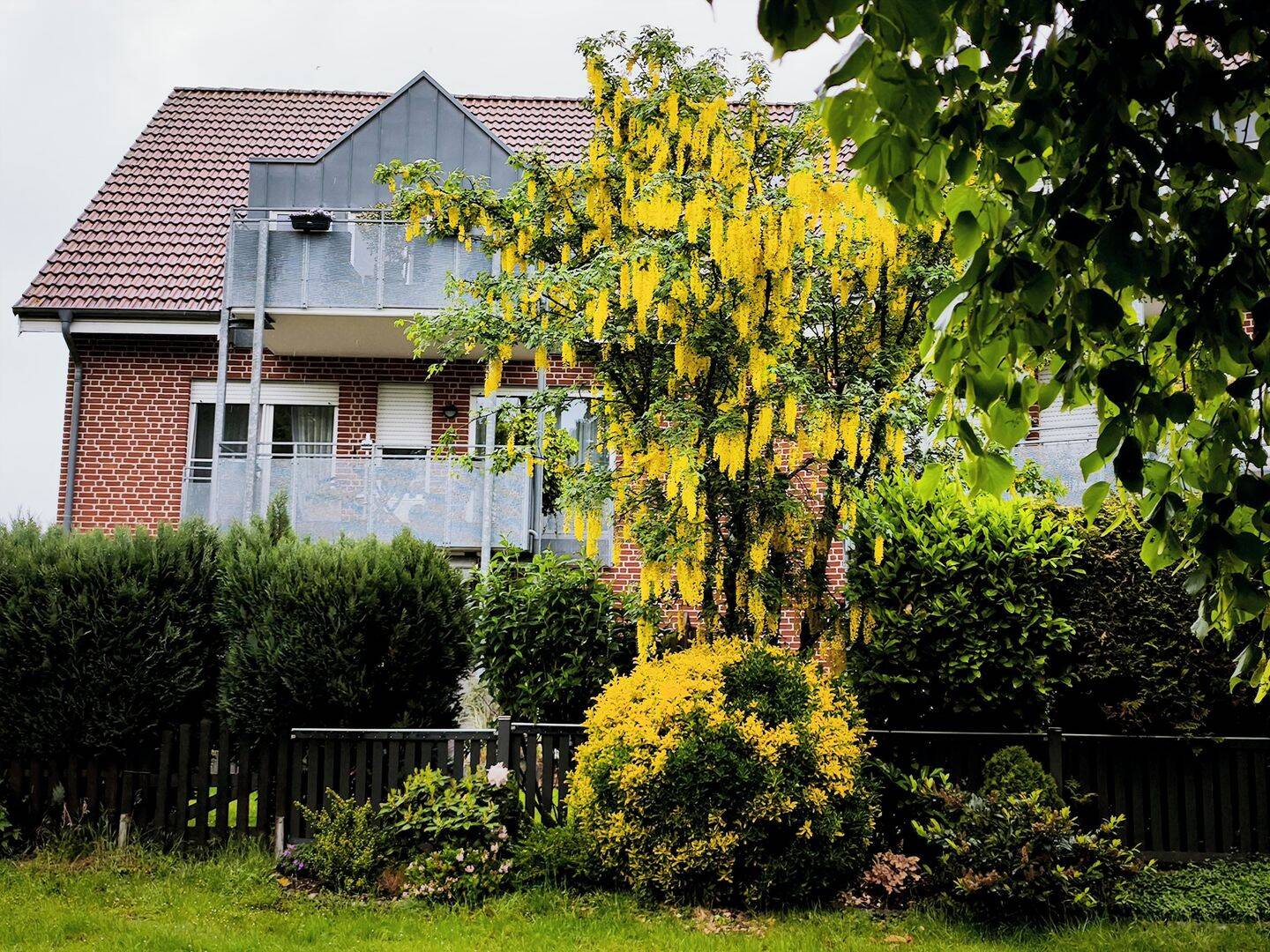 Stilvolle, großzügige Architektenwohnung (83 m²) mit Süd-Balkon, 33790 Halle (Westf.)