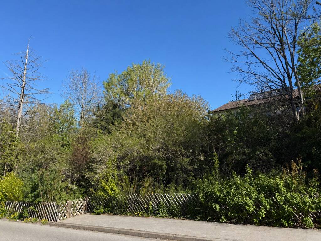 image-72465332