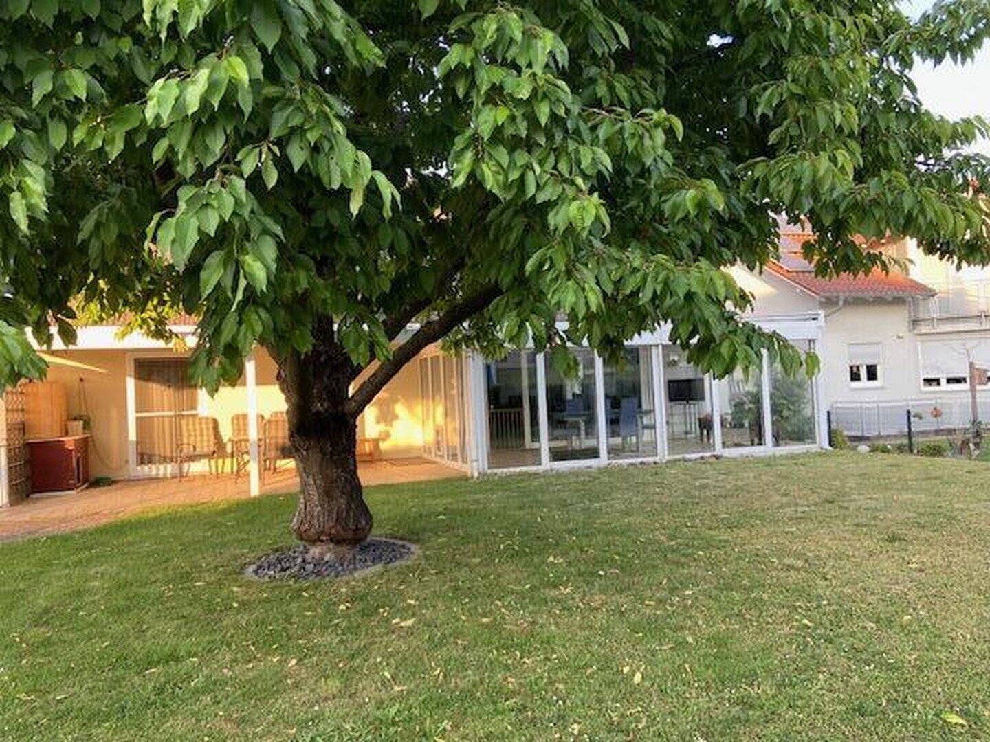 image-72825613