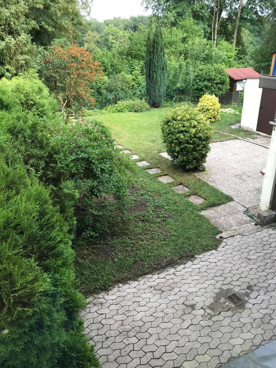 image-72584561
