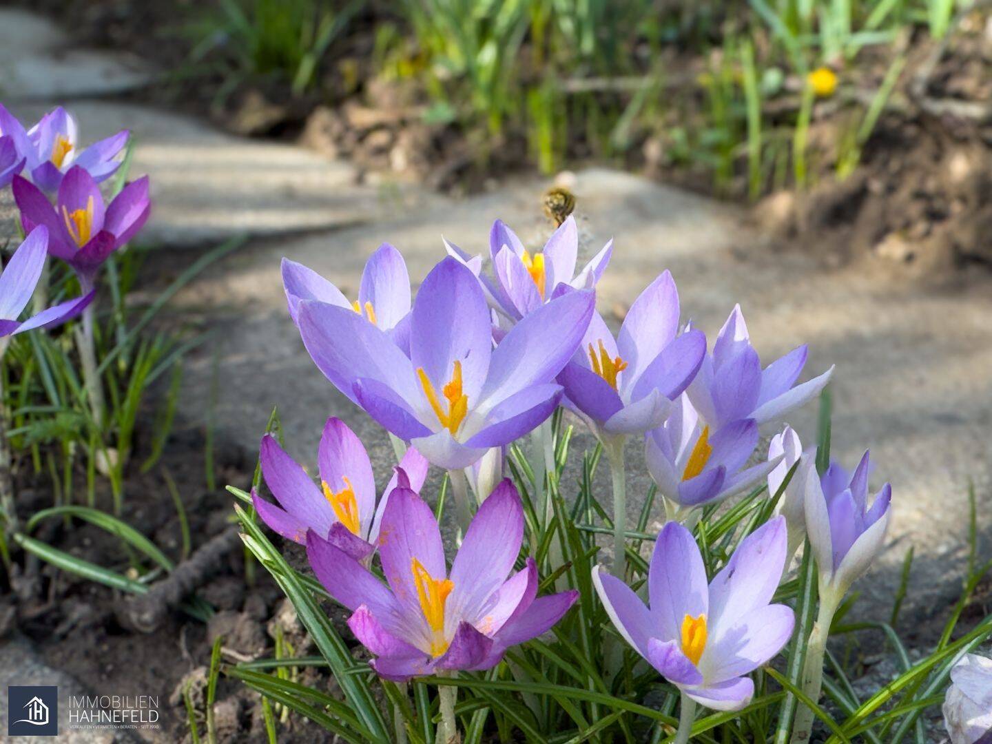 Ihr Rückzugsort am Lahnufer – sonniges Gartengrundstück in Limburg-Au, 65549 Limburg a.d. Lahn