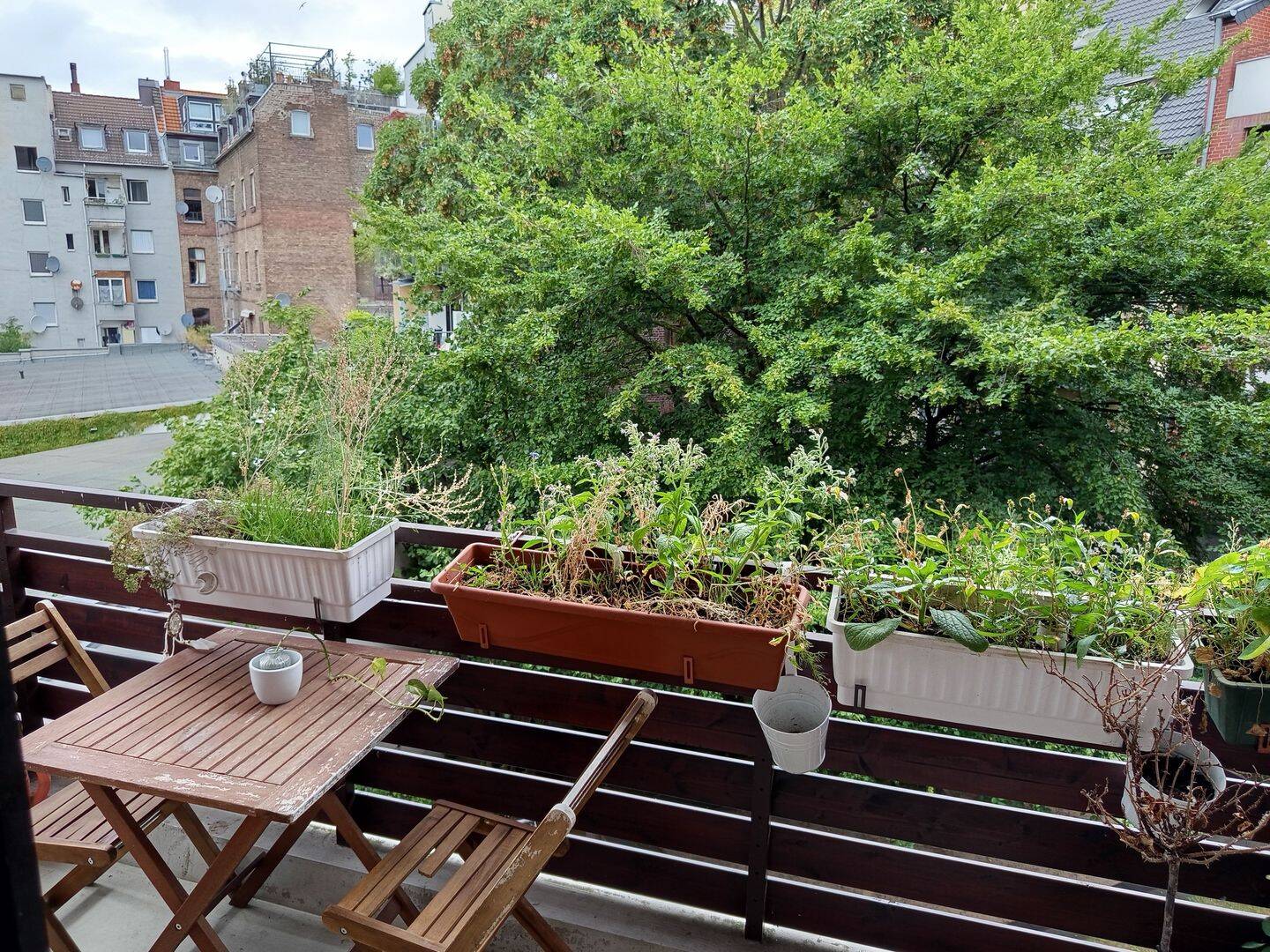 ZWISCHENMIETE – Schöne 2-Zimmer-Wohnung zur Zwischenmiete in zentraler Lage von Köln, 50674 Köln (Innenstadt-Süd Altstadt-Süd Neustadt-Nord Neustadt-Süd)