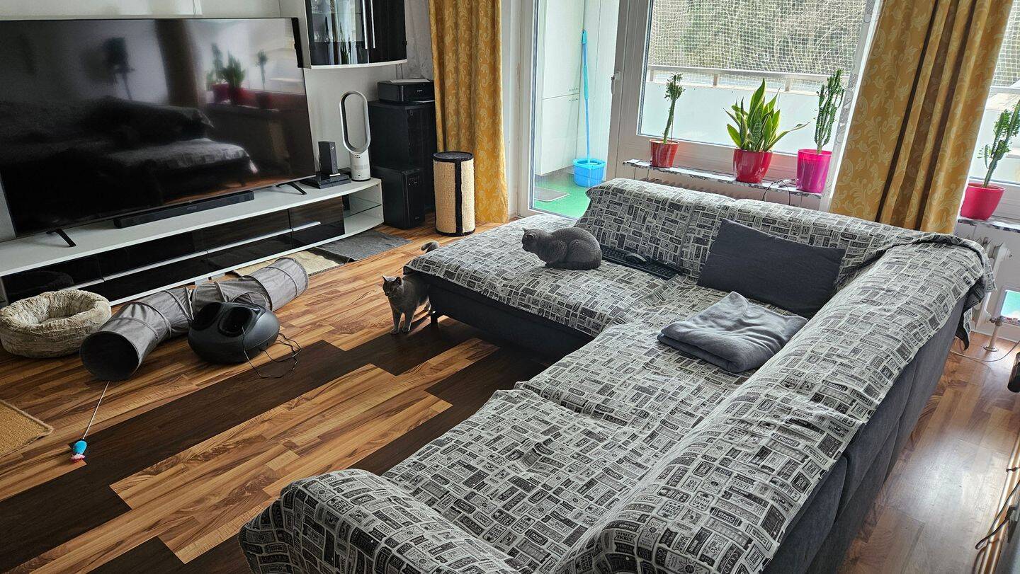 Suche Mitbewohnerin, 95447 Bayreuth (Altstadt Birken Glocke Meyernberg Saas)