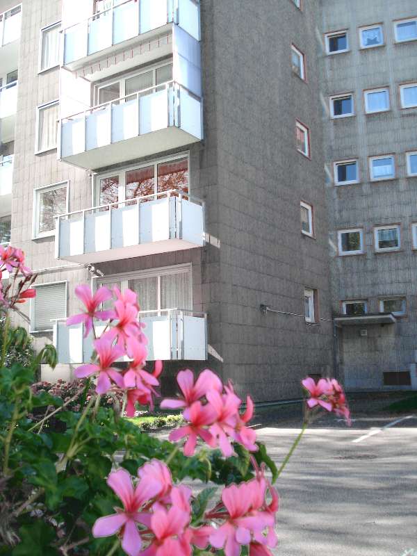 image-72483154