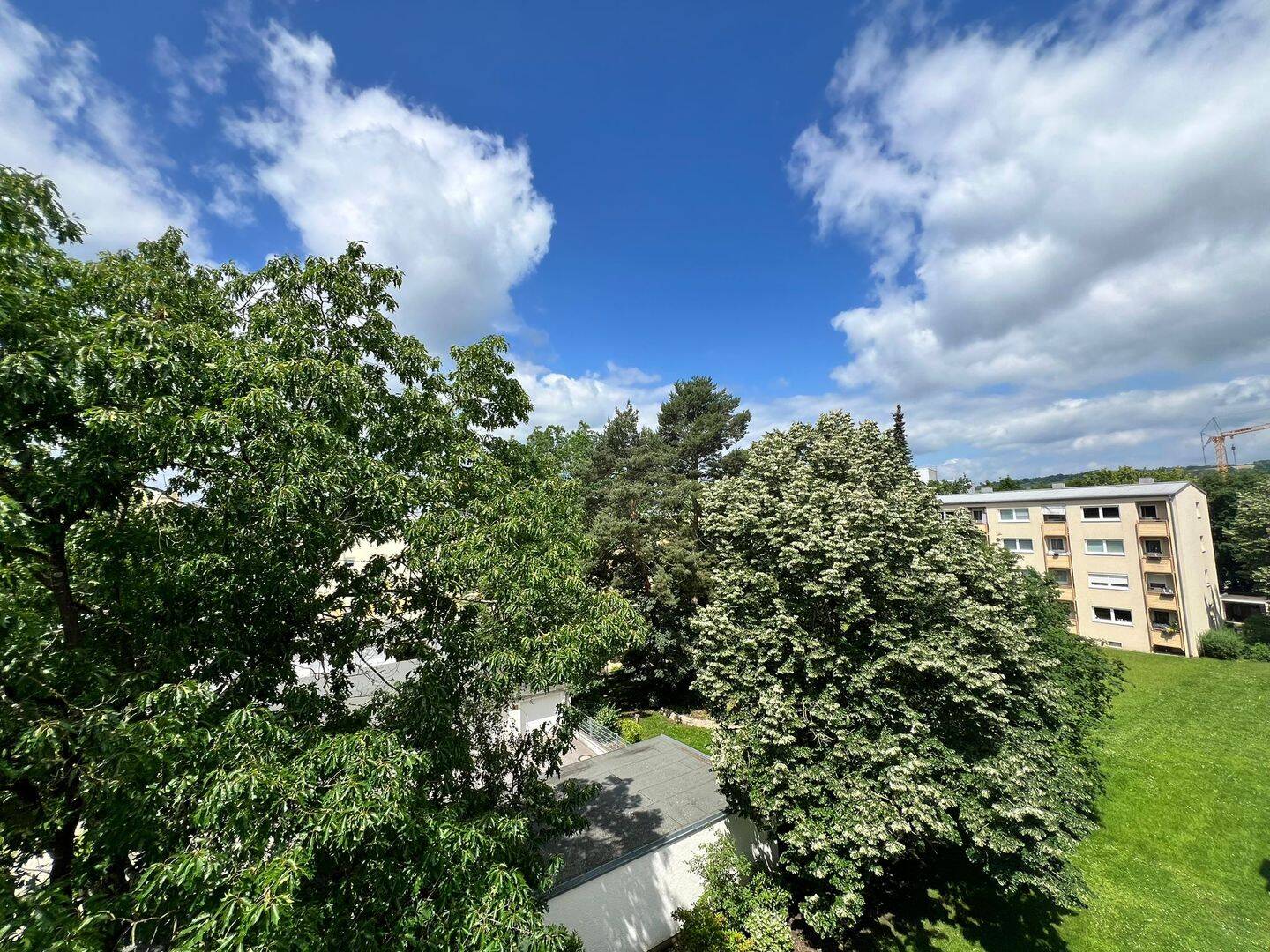 image-72859516