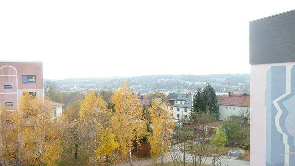 image-72346382
