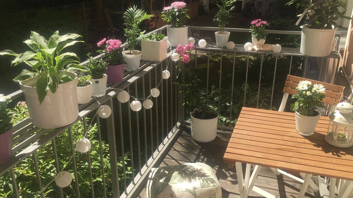 UNTERMIETE: Zentrale, schöne Altbauwohnung mit Balkon, 10119 Berlin (Mitte Prenzlauer Berg)