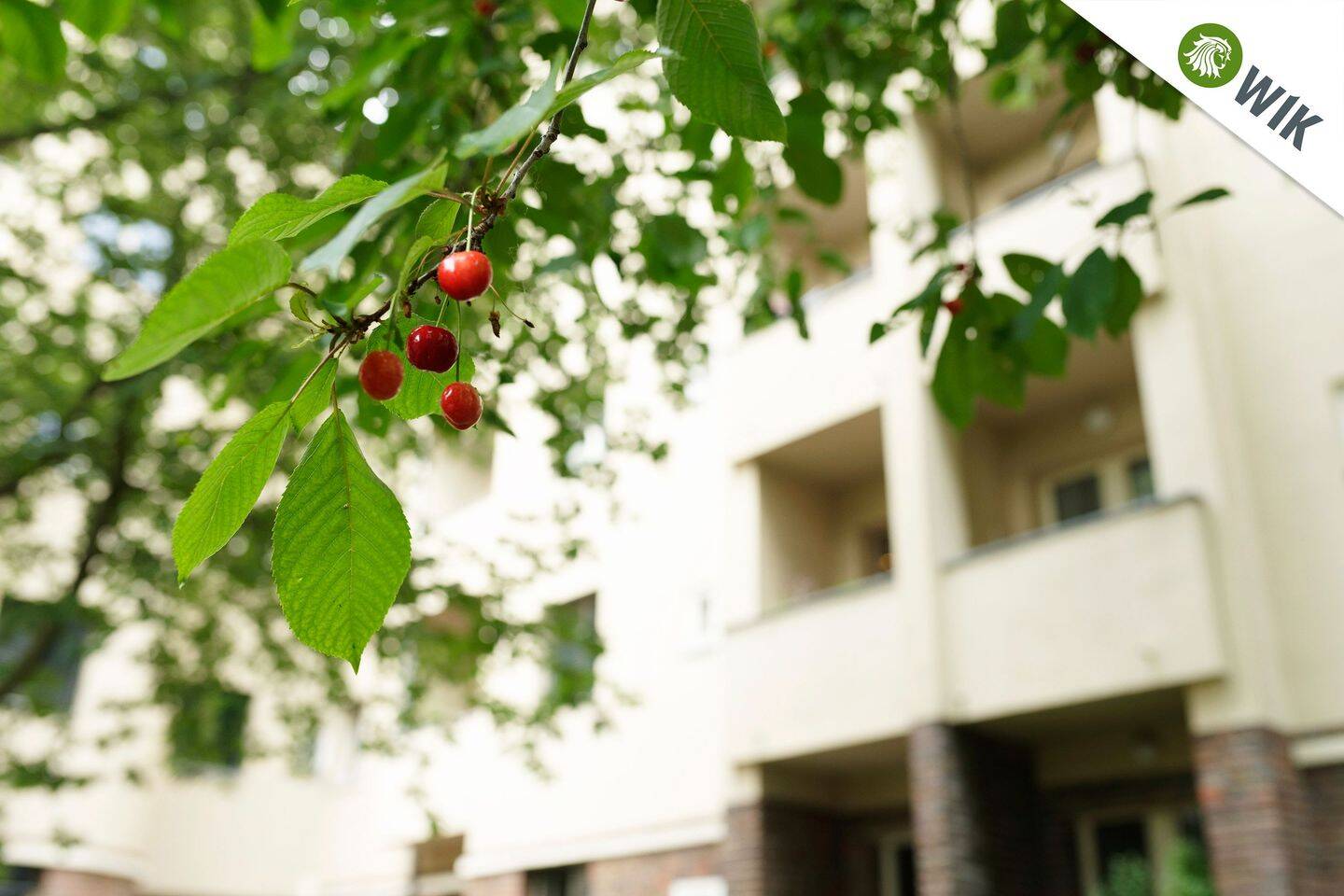 Und immer wieder geht die Sonne auf! Flexible Raumaufteilung mit Balkon und dem urbanen Lebensgefühl…, 4105 Leipzig (Zentrum-Nord Zentrum-Nordwest Zentrum-Ost Zentrum-West)