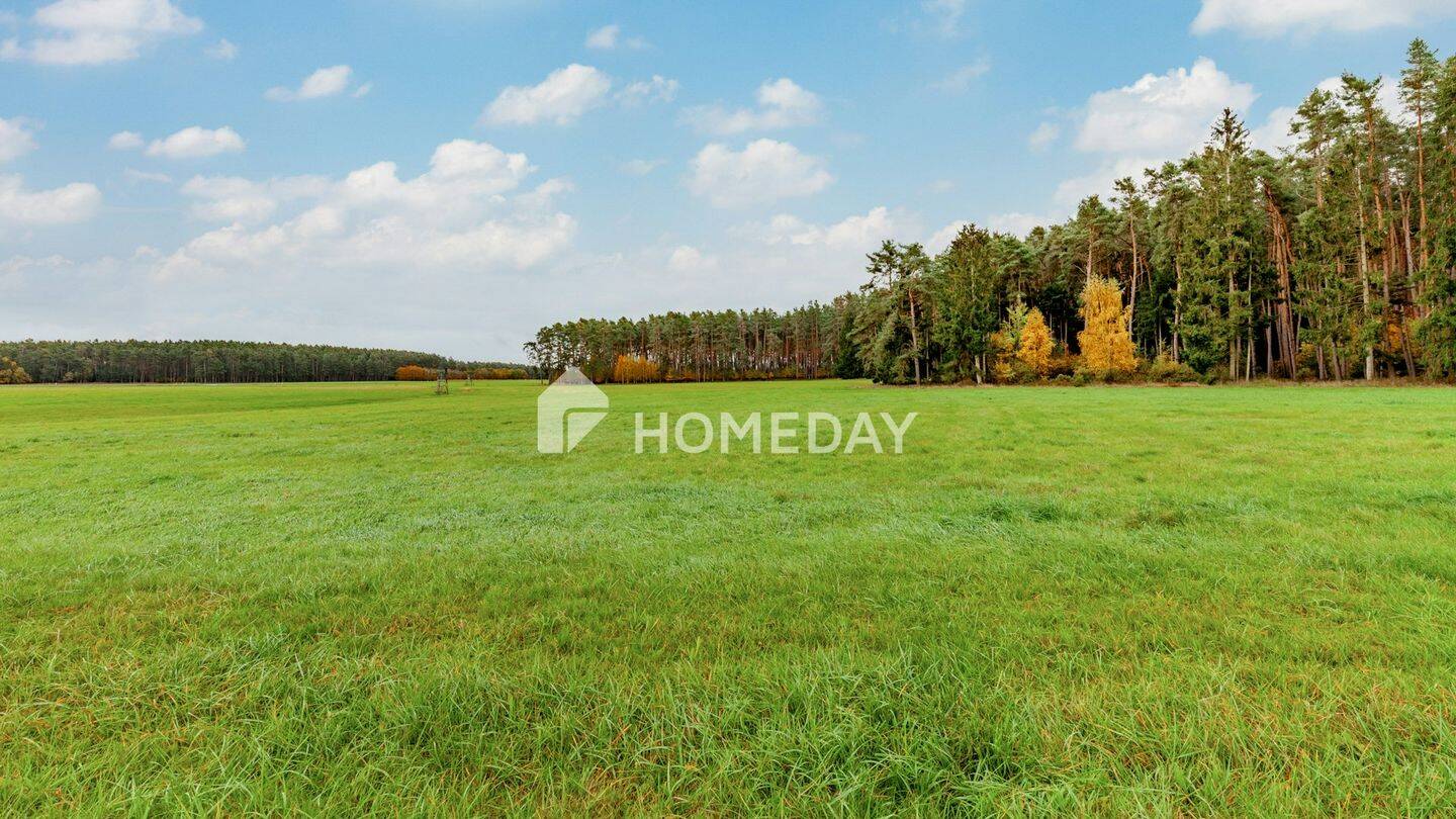 8,79 ha: Großflächiges Areal für Landwirtschaft, Forst und Neugestaltung, 91183 Abenberg