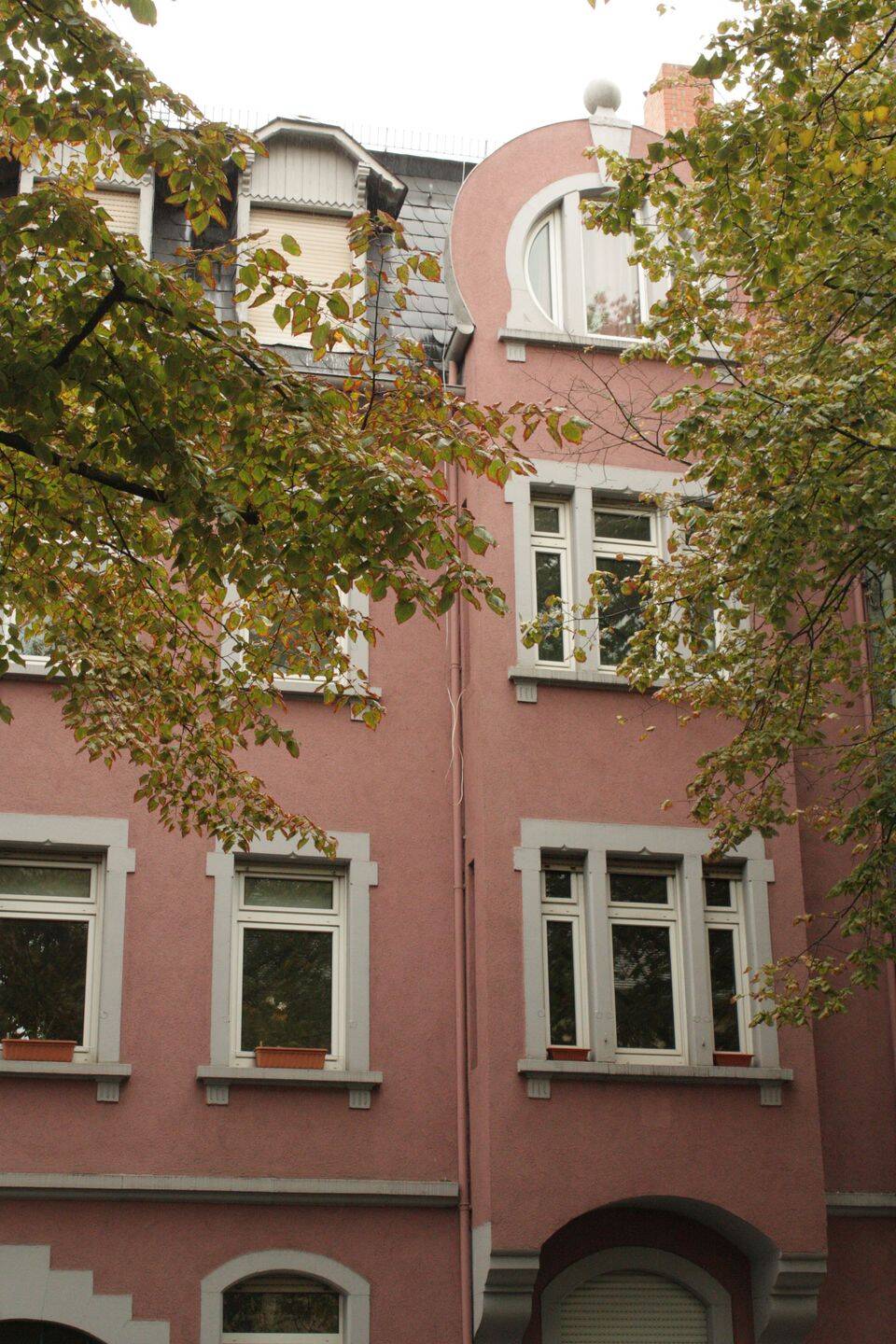 image-72469832