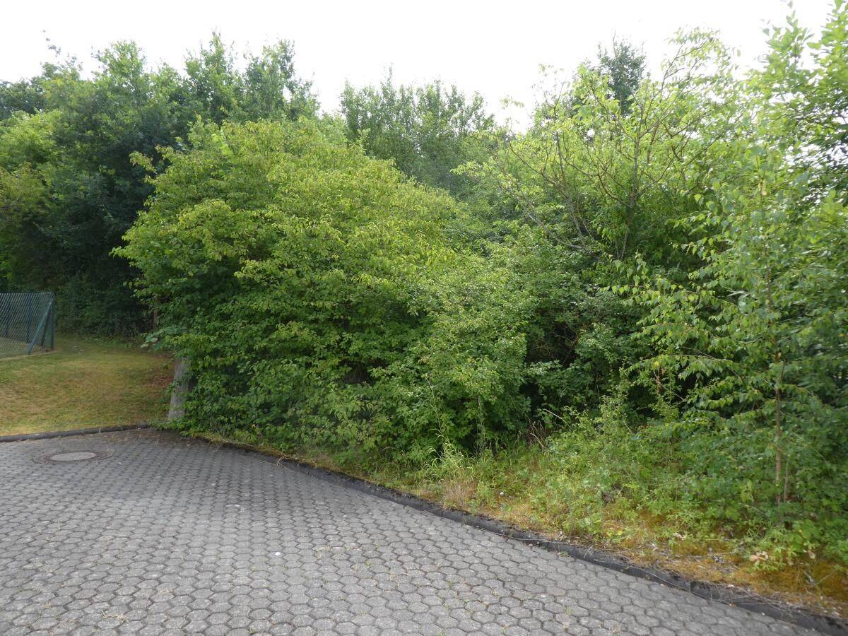 Sonniges ruhig gelegenes Baugrundstück in schöner Randlage Trier-Feyen-Grafschaft, 54294 Trier