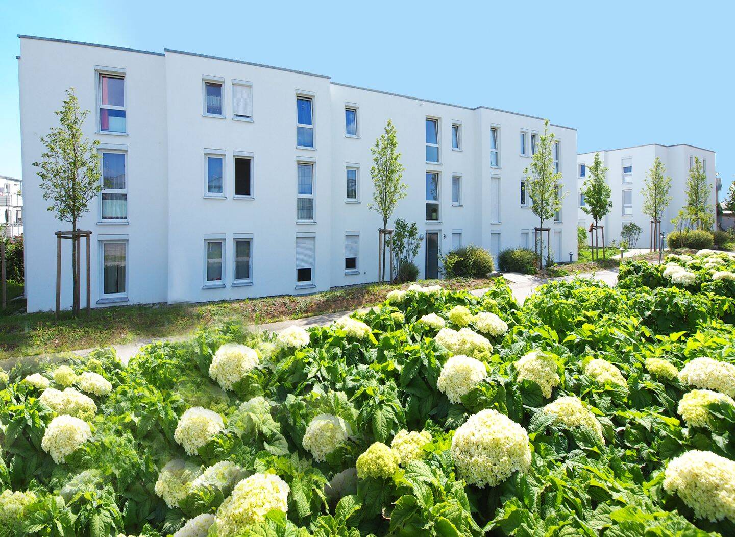 WBS erforderlich: Großzügige 2-Zimmer-Wohnung mit Terrasse, 70599 Stuttgart
