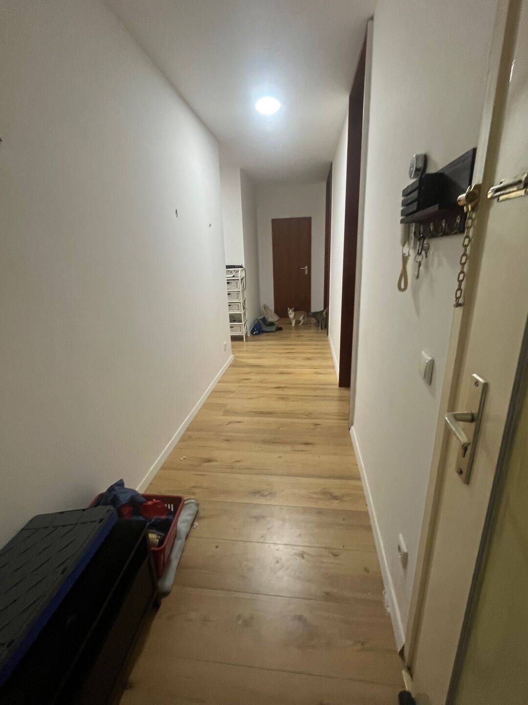 WG-Zimmer zu vermieten, 65185 Wiesbaden (Wiesbaden)