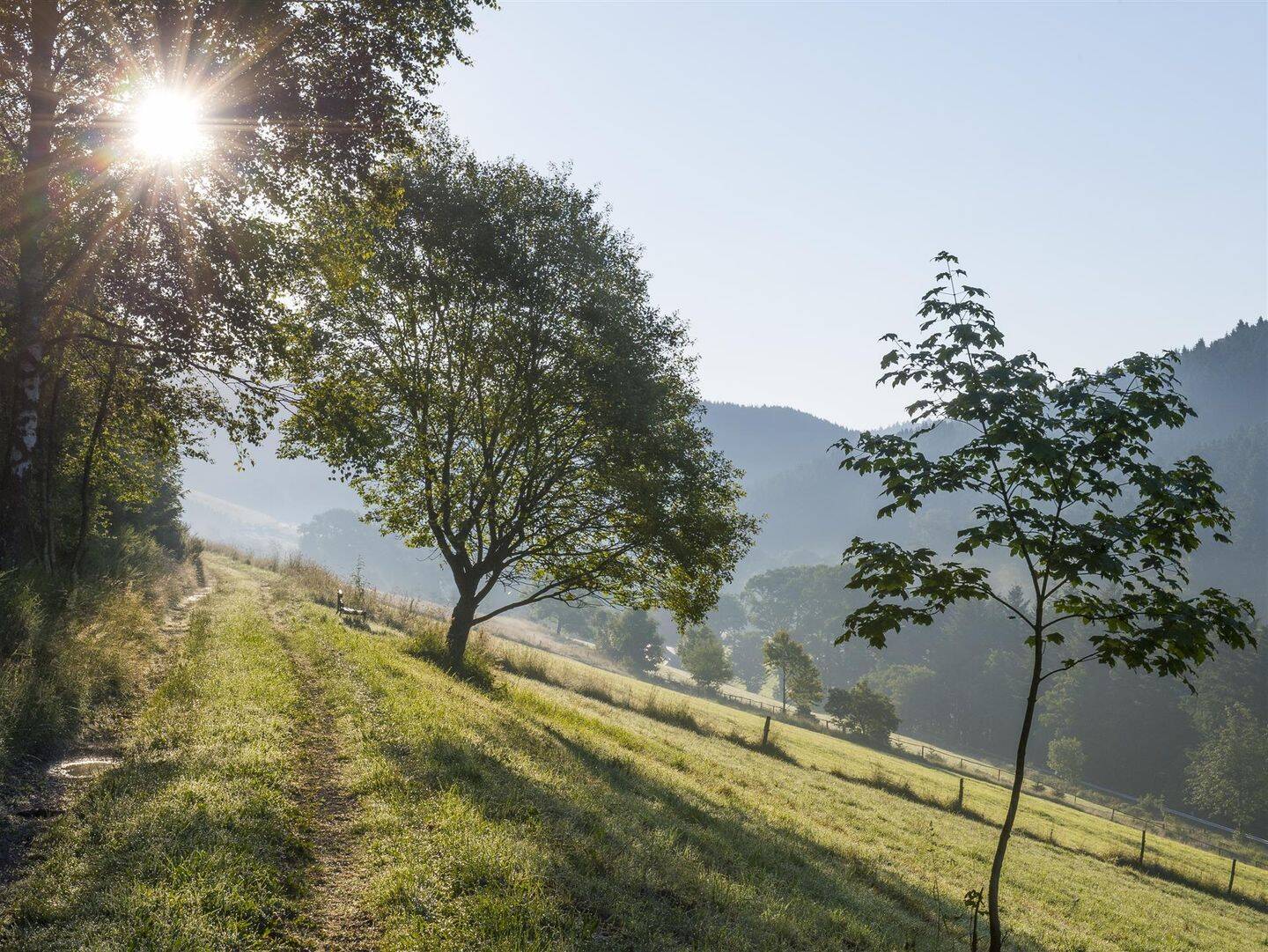 / Eigentumswohnung im idyllischen Sauerland!, 57392 Schmallenberg