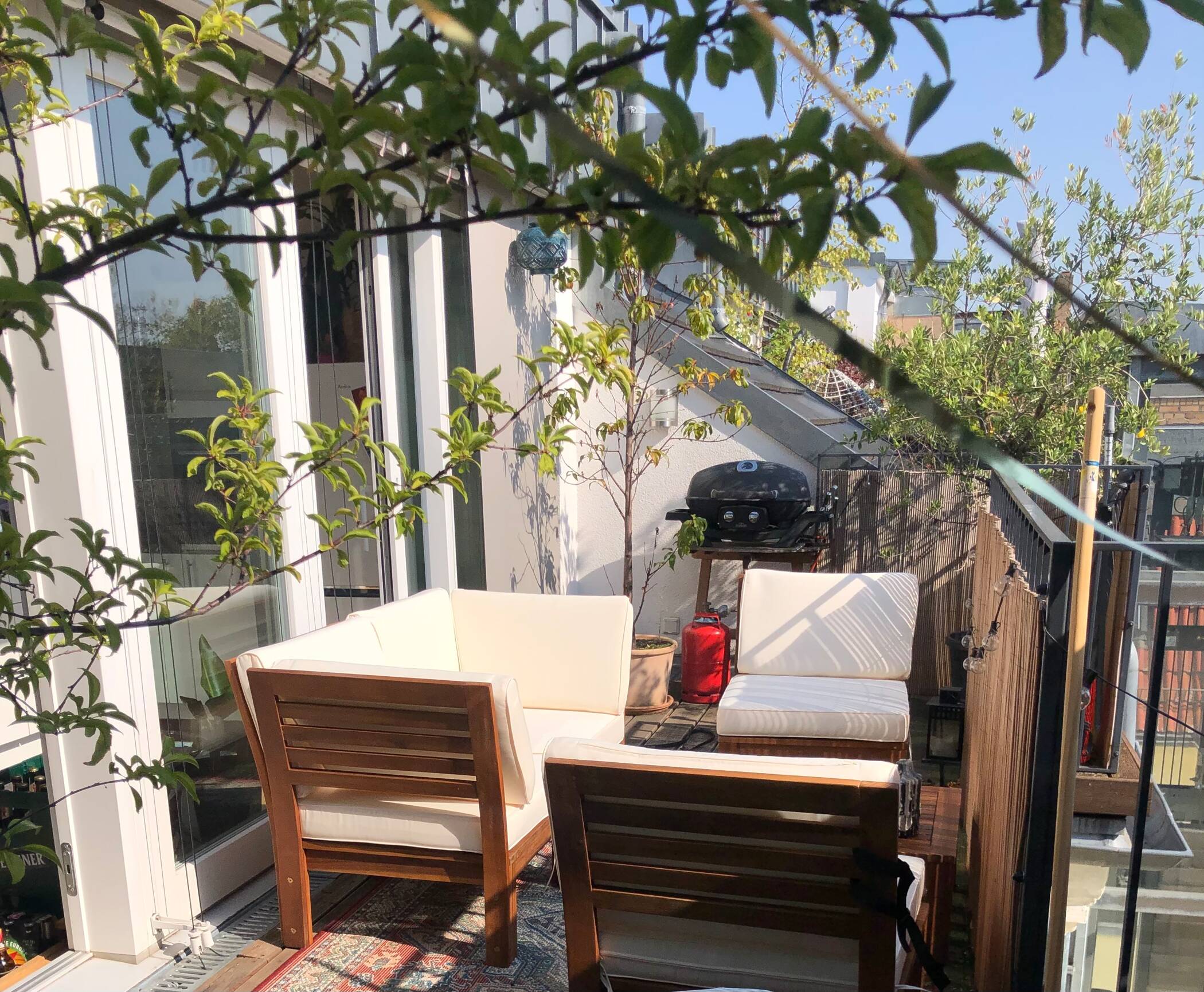 Sunny terrace, sweet berries & cozy movie nights: 87sqm dream close to Mauerpark (1 Yr All-In), 10439 Berlin (Pankow Prenzlauer Berg)