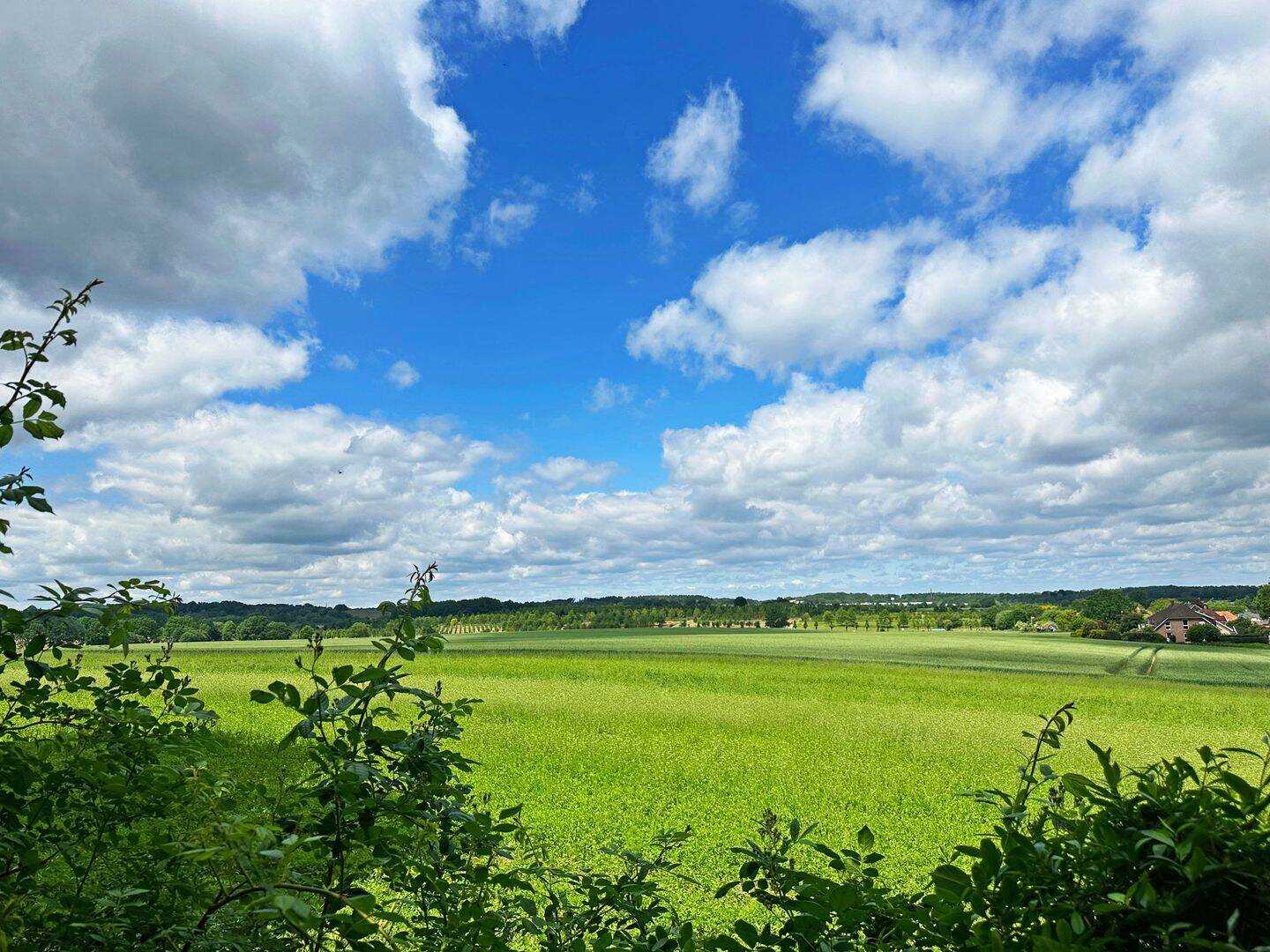 Grundstück mit traumhaften Weitblick in begehrter Lage von Seevetal, 21218 Seevetal