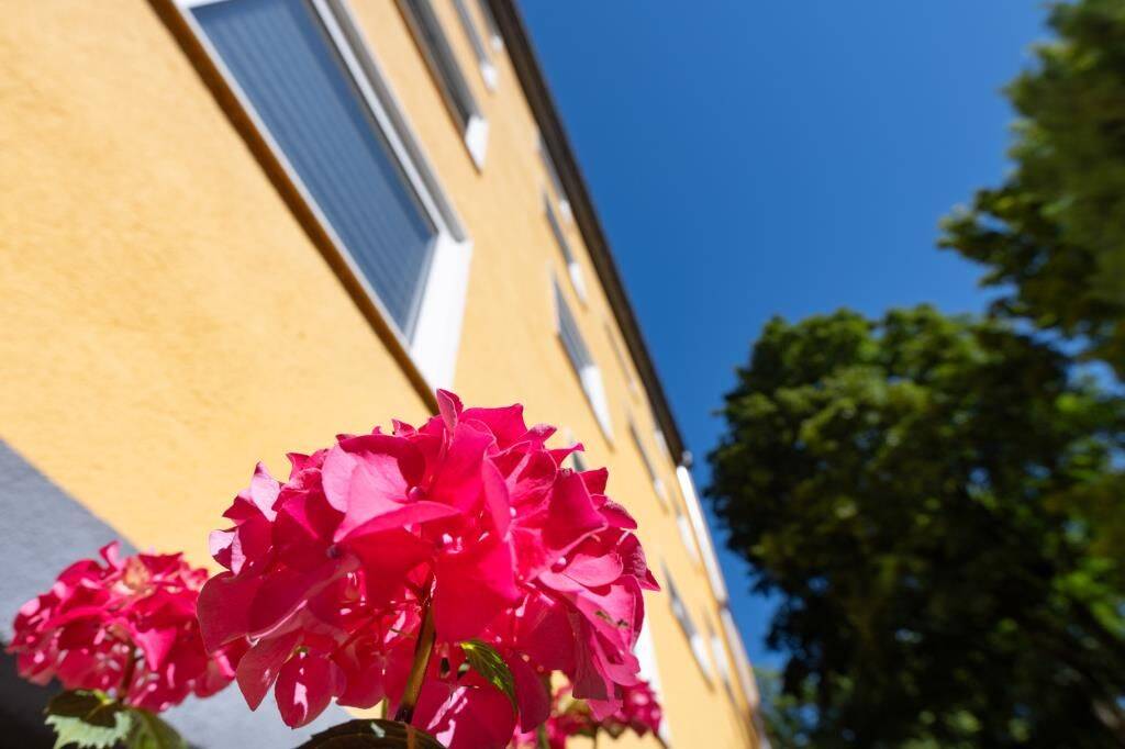 Frisch renoviert! Die Wohnung glänzt jetzt fehlen nur Ihre Möbel., 58089 Hagen