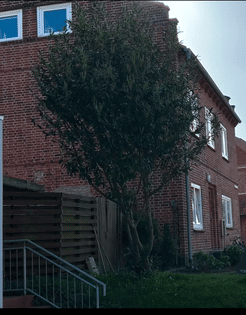 Renditestarkes Mehrfamilienhaus in Top-Lage von Heiligenhafen – voll vermietet, 23774 Heiligenhafen