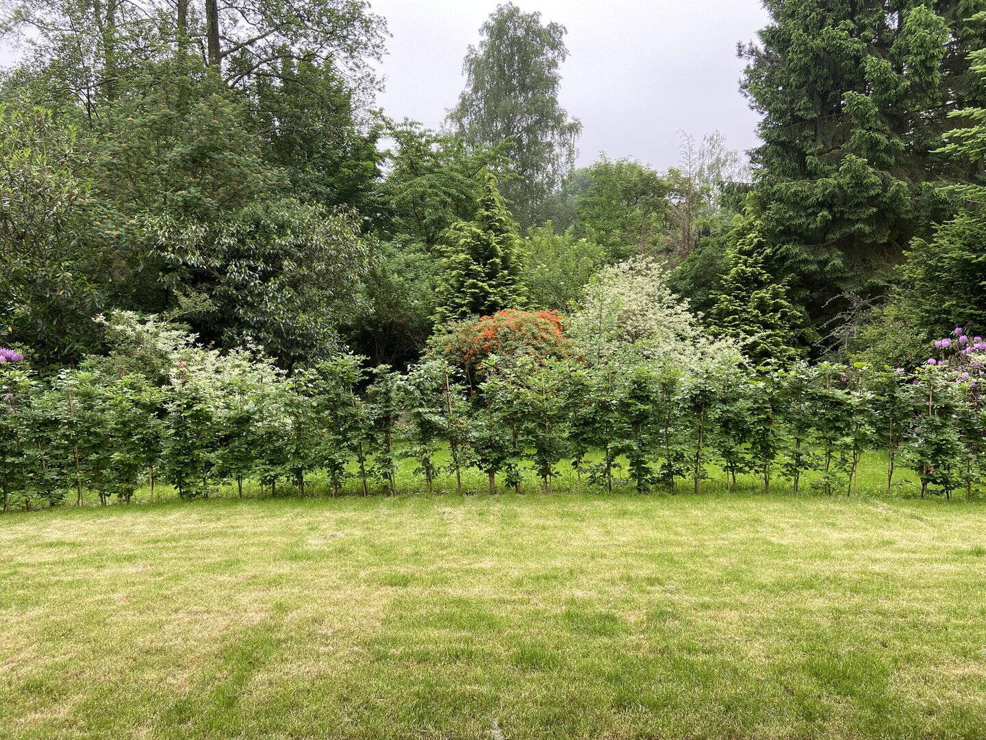 image-72730207