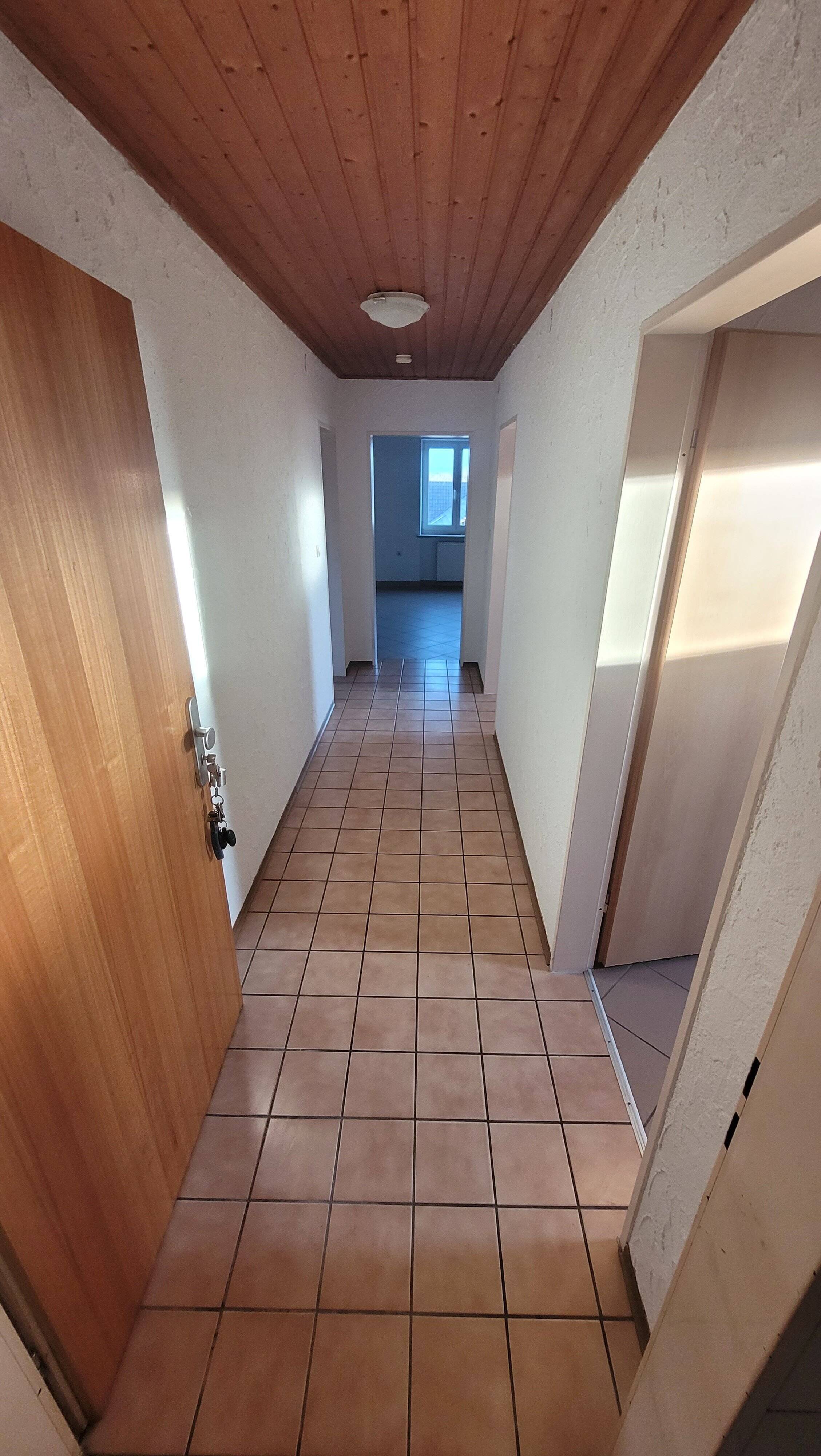 image-72497694