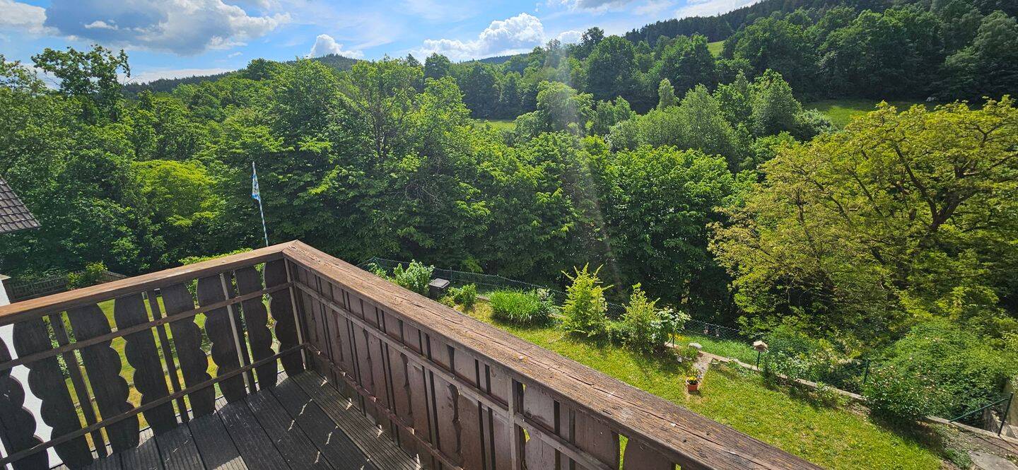 Wohnen und Leben in Freudenberg – Neu renovierte 3 Zimmer Wohnung mit Balkon und Garage in ruhiger und sonniger Lage, 92272 Freudenberg