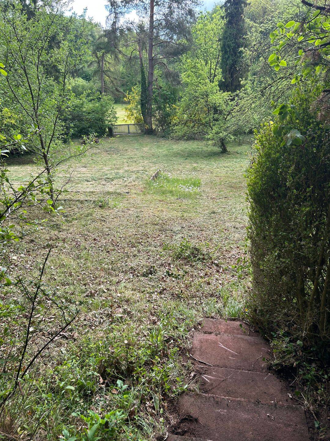 image-72856477