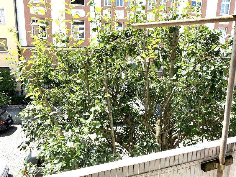 3-Zimmer-Wohnung nähe Elisabethplatz mit Südwest-Loggia, 80796 München (Schwabing-West)