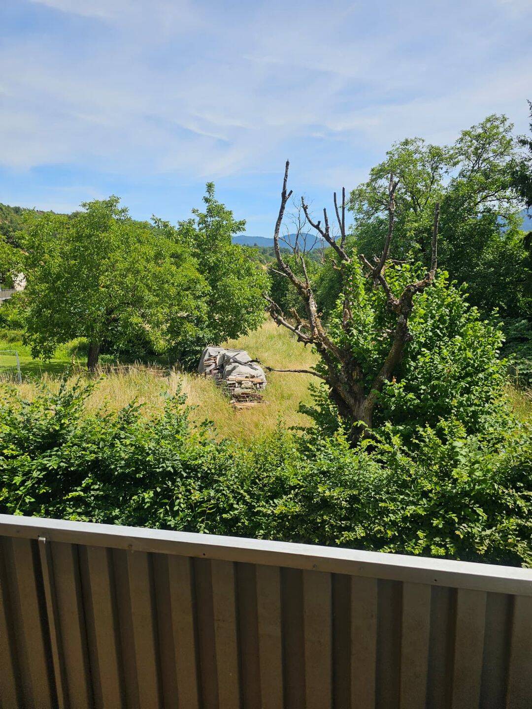 zu vermieten: schöne, sonnige 4-Zimmer-Whg. in Gernsbach-Staufenberg, 76593 Gernsbach