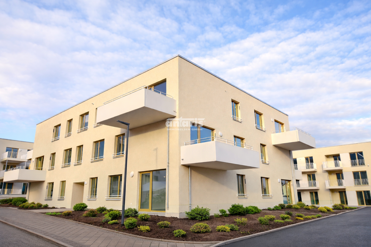 image-72412337