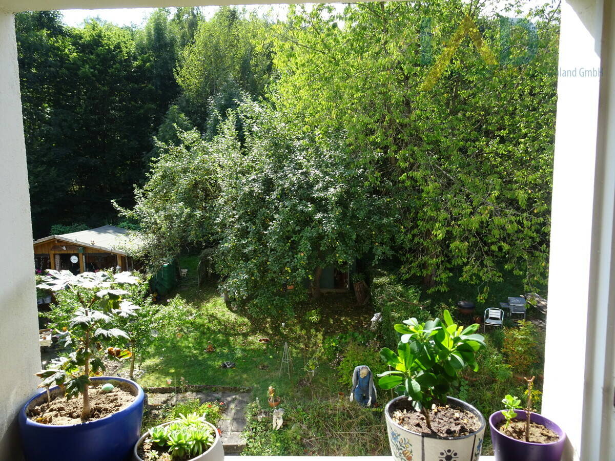 image-72455706