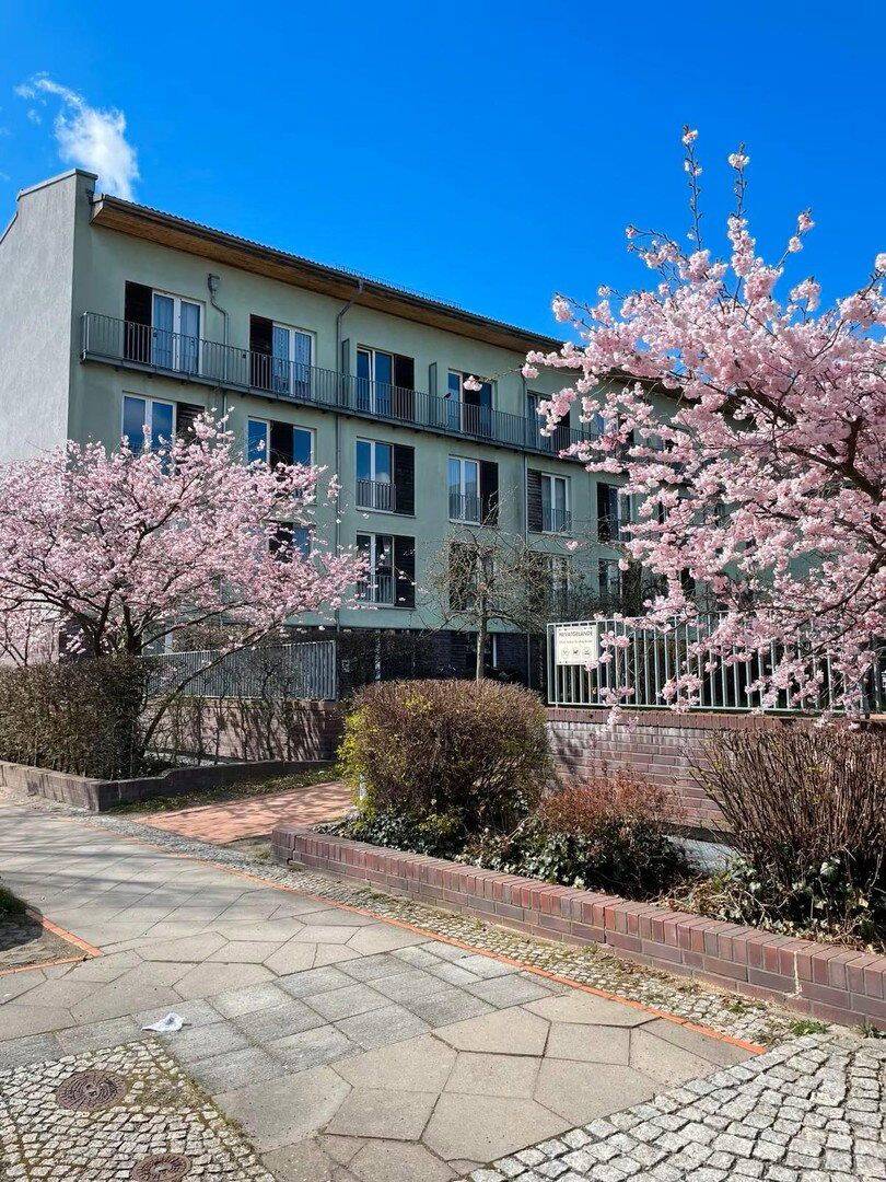 Renovierte 2 Zimmer Wohnung mit Loftfeeling in Pankow / Französisch Buchholz