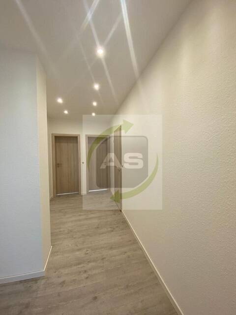 image-72553250
