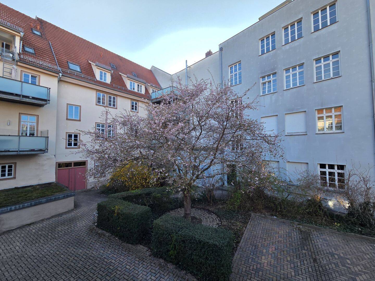 image-72986408