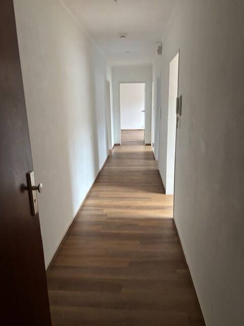 image-72654992