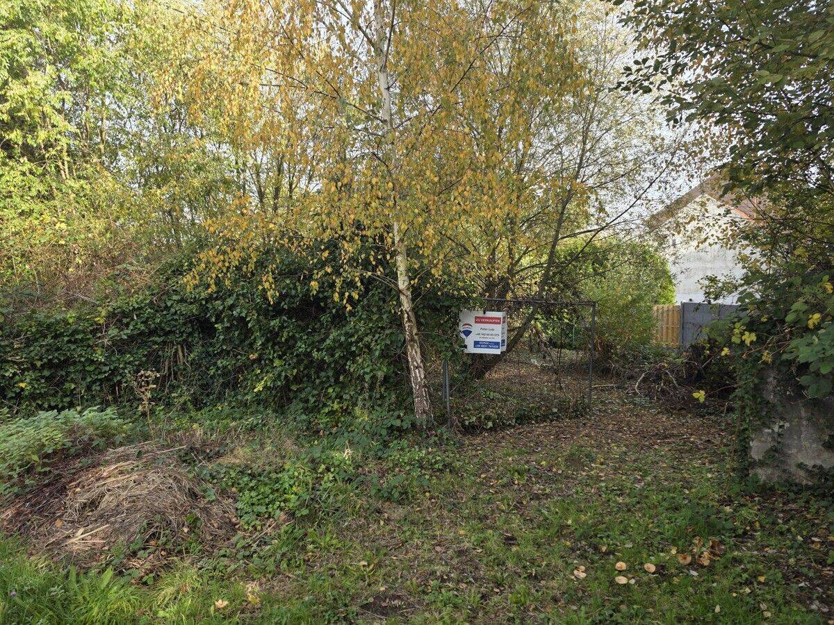 Nalbach-Bilsdorf: Großes Baugrundstück mit Baugenehmigung für Einfamilienhaus, 66809 Nalbach