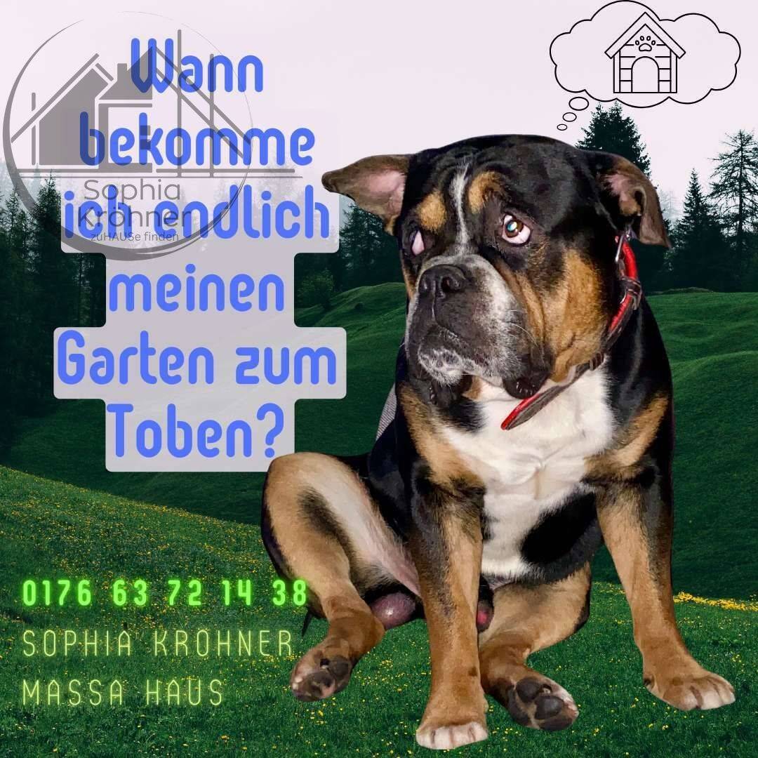134 m² pure Wohnfreude – Durchdacht & perfekt für Euren Alltag, 9603 Großschirma