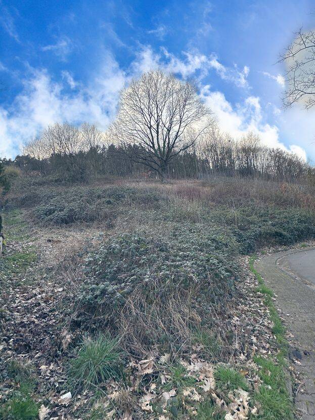 Traumhaftes Hanggrundstück in idyllischer ländlicher Lage, 64747 Breuberg