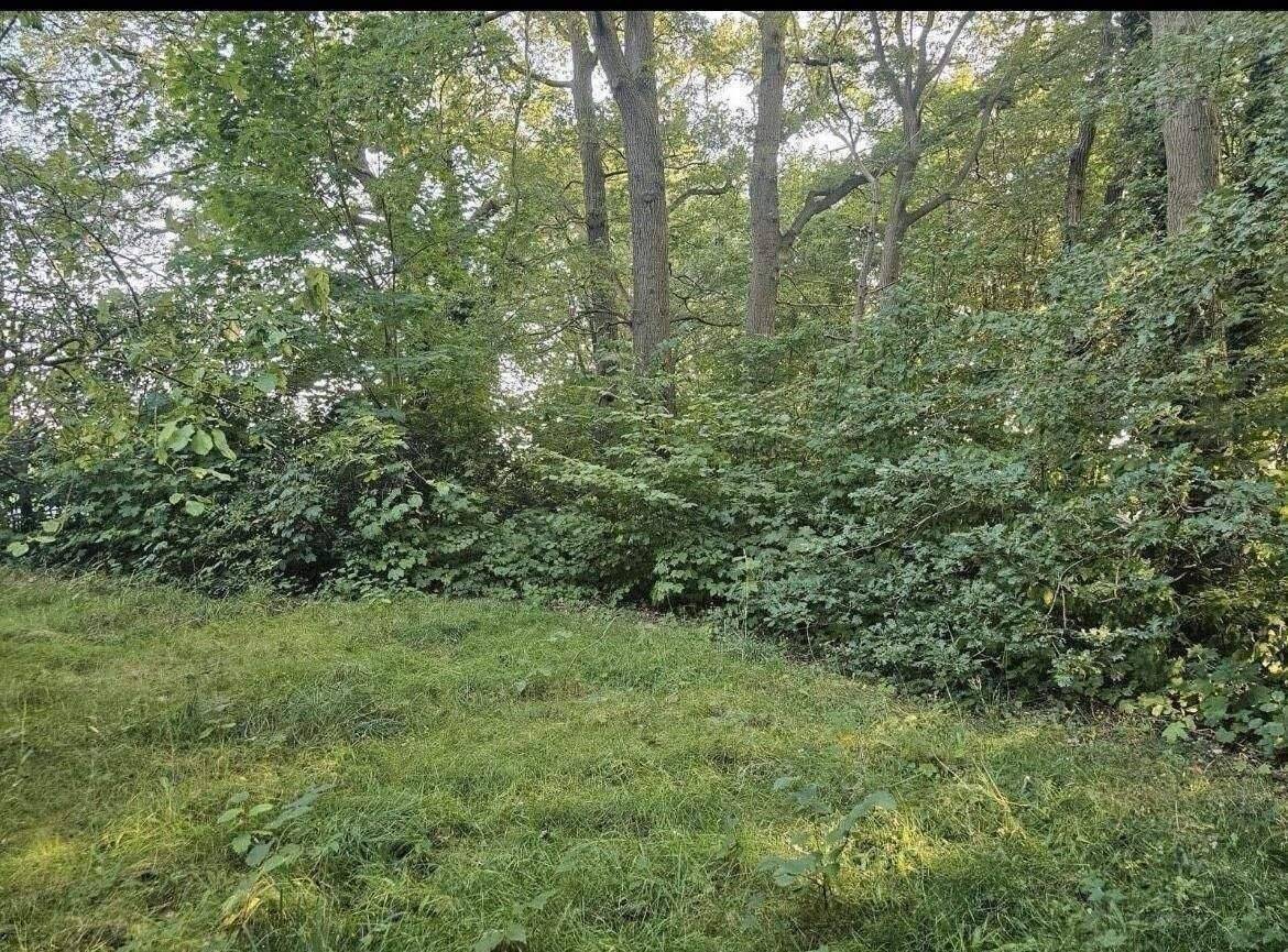 Wohngrundstück mit kleinem Bungalow für 2 Personen, 27412 Vorwerk