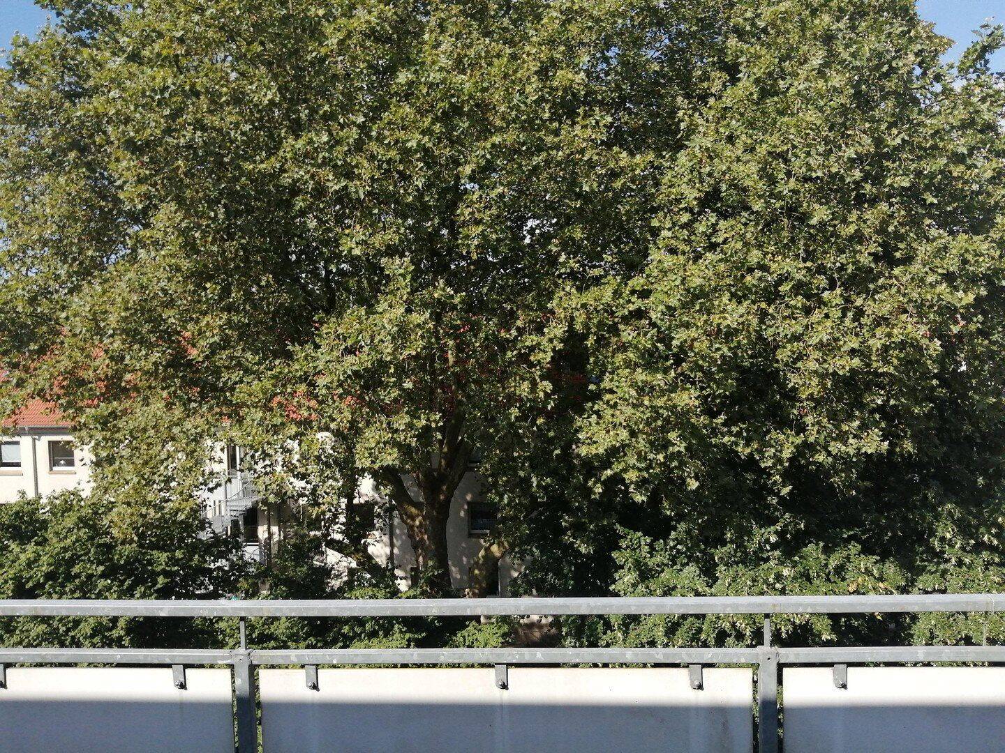Schöne Wohnung im Kaiserstraßenviertel, 44143 Dortmund (Brackel Körne Mitte Schüren Wambel)