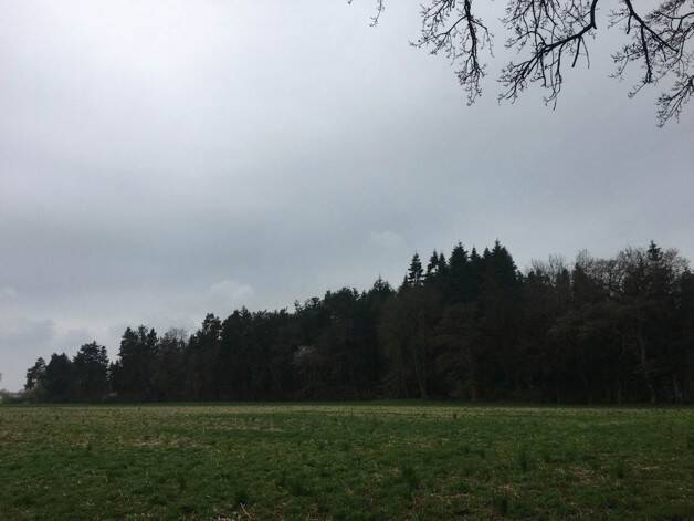 image-72611879