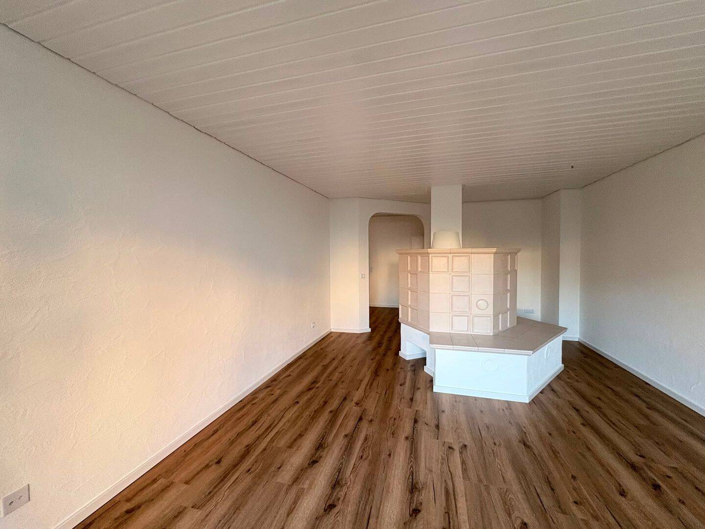 Helle, modernisierte Wohnung mit Kamin und großem Balkon, 78315 Radolfzell am Bodensee