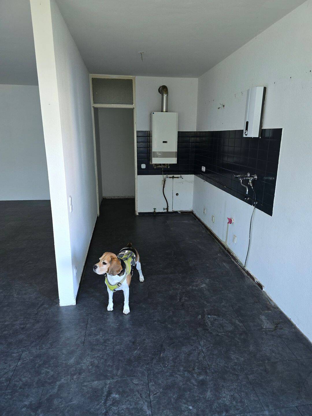 Frisch renovierter Wohntraum am Röteringshof: Helle 3-Zimmer-Wohnung mit hochwertigem Vinylboden – Haustiere erlaubt!, 59229 Ahlen