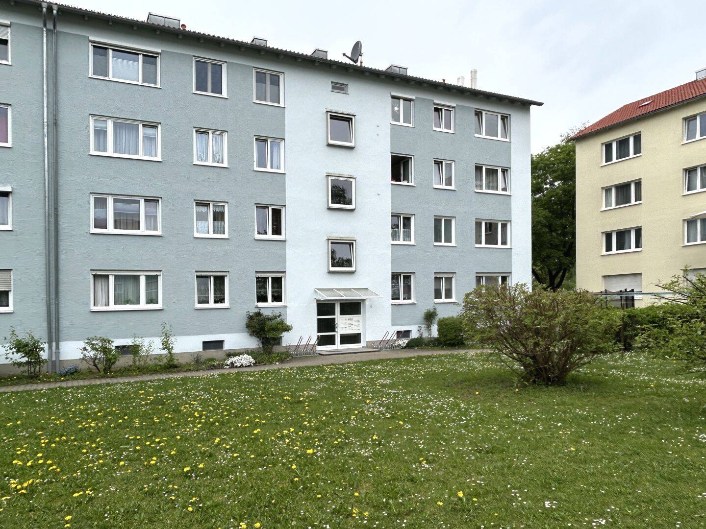 image-72706221