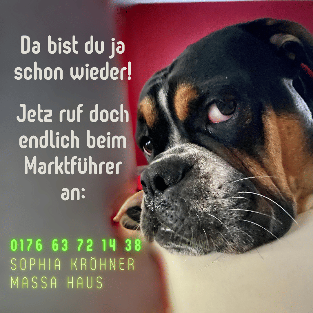 113 qm pure Wohlfühlfläche – Haus mit offenem Wohnkonzept im Erdgeschoss, 9629 Reinsberg