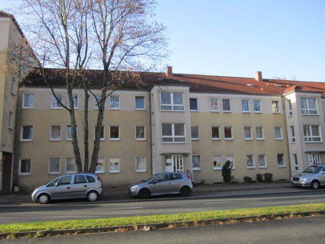image-72960172