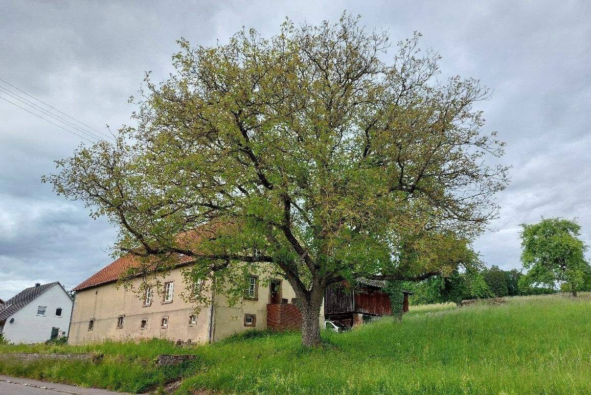 Bauernhaus mit Scheunenhaus, reichlich Ausbaupotenzial im Anbau, mit herrlichem Grundstück (komplett) in Blieskastel-Brenschelbach, 66440 Blieskastel