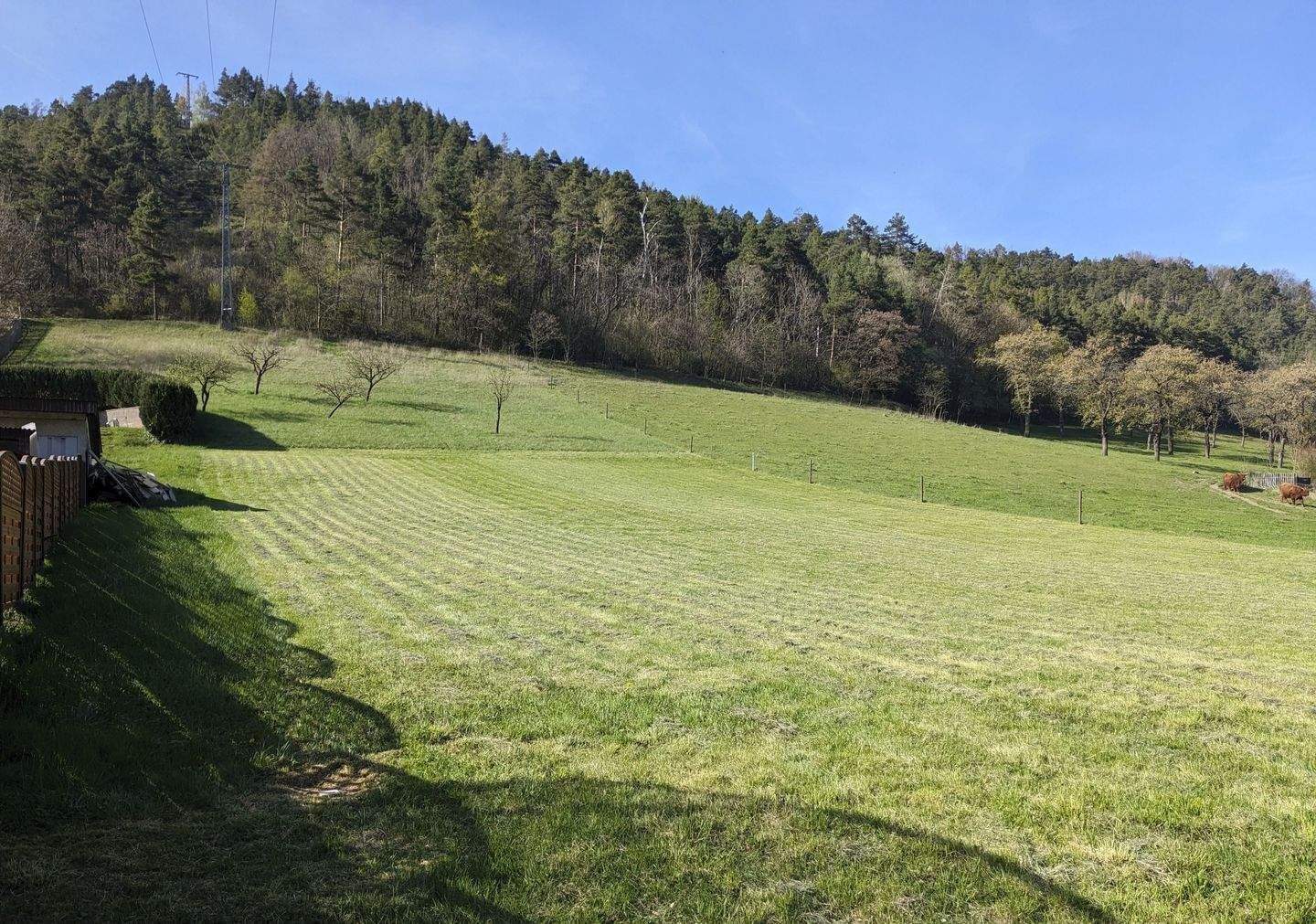 Bautägerfreies, sonniges Baugrundstück, 7745 Jena