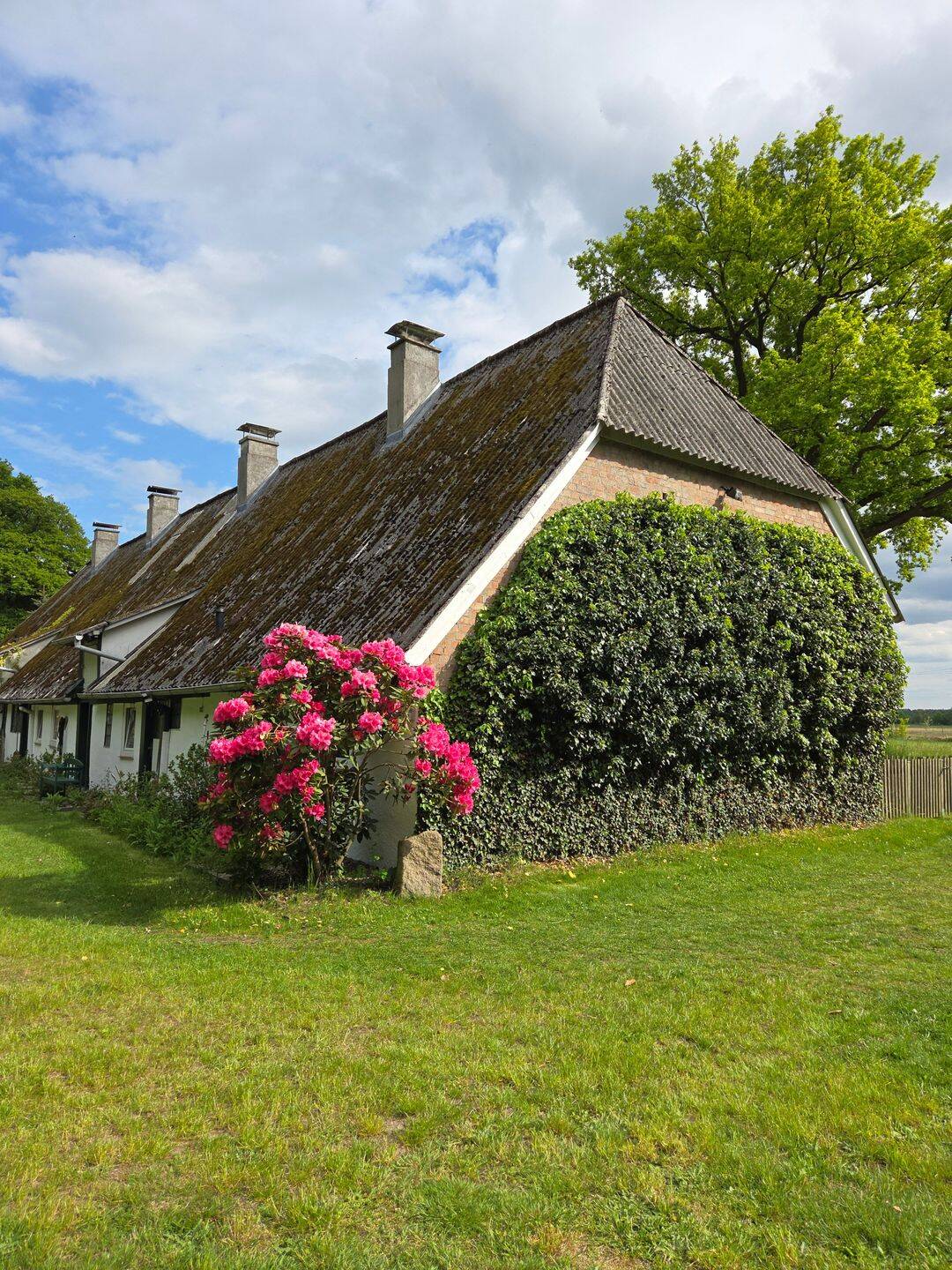 Altes Landhaus mit Garten in ruhiger Lage!, 19249 Lübtheen